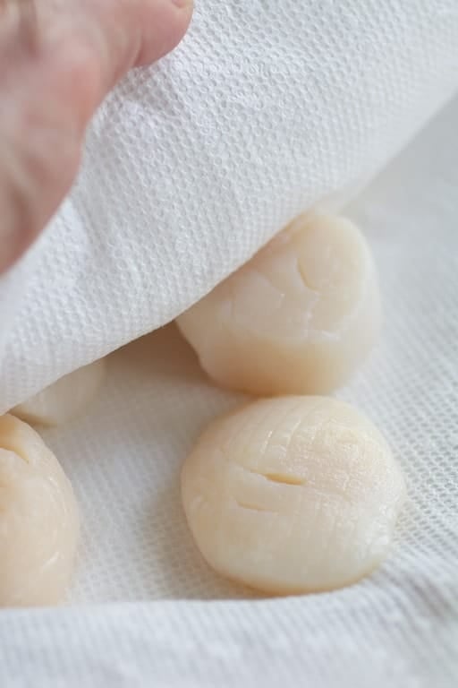 Photo showing scallops being patted dry with paper towels.