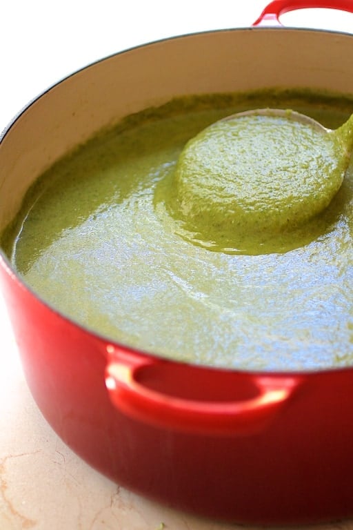 Photo of Cream of Green Vegetable Soup in red Dutch oven with ladle lifting some out.