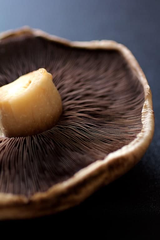 Close-up photo of the gills of a Portobello mushroom.