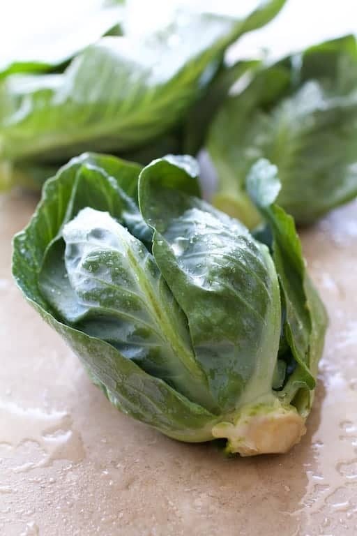 Close-up photo of uncooked cabbage sprout.