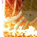 Ramps in pickling brine in glass jar.