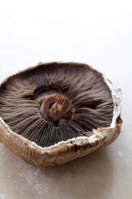 Photo of underside of a Portobello mushroom.