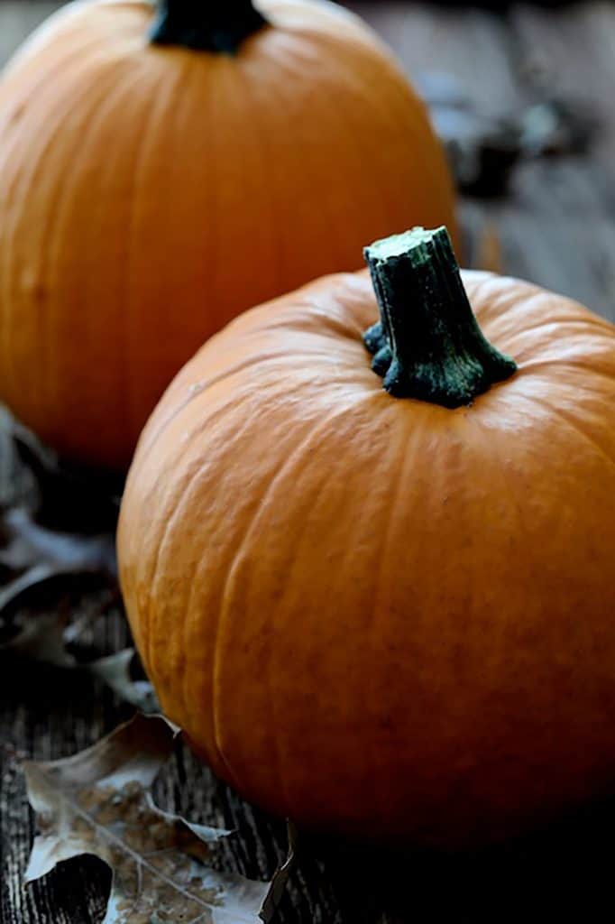 Photo of two whole pumpkins.