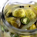 Quick Pickled Brussels Sprouts with Jalapeno in glass jar.