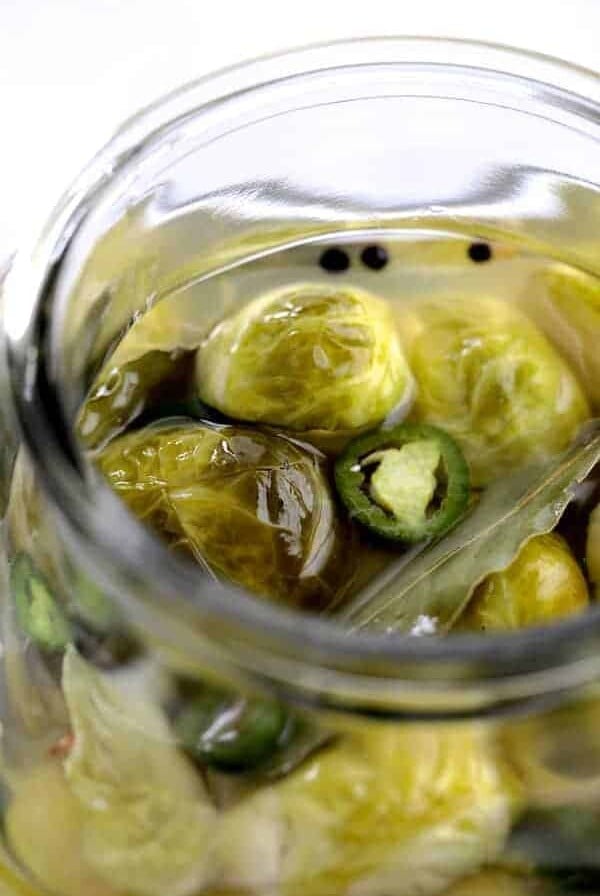 Quick Pickled Brussels Sprouts with Jalapeno in glass jar.