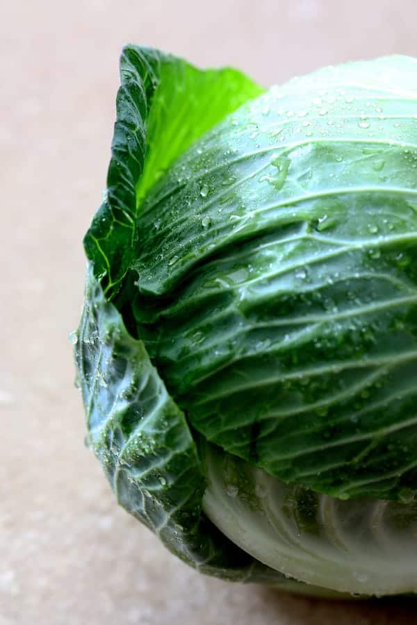 Close-up photo of a whole head of cabbage.