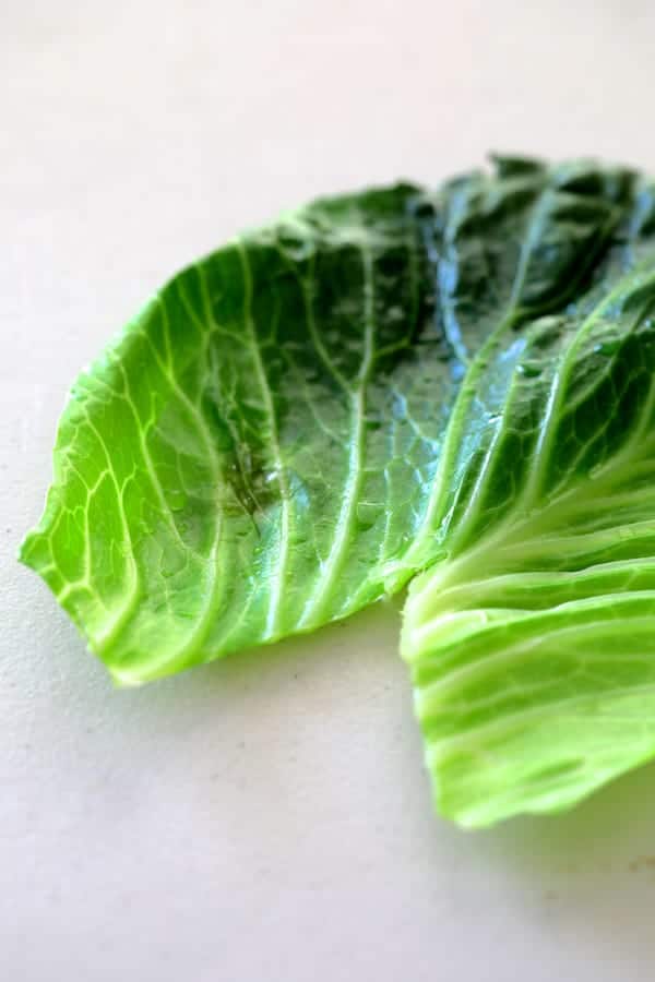 Photo of cooked cabbage leaf with V-Shape cut out of the bottom.