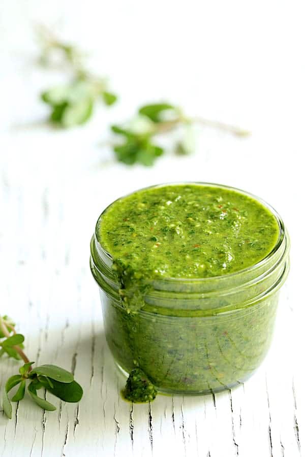 Photo of Purslane Chimichurri in glass jar on white crackled surface.