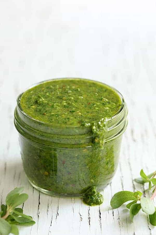 Photo of Purslane Chimichurri in glass jar on white background with some spilling out.