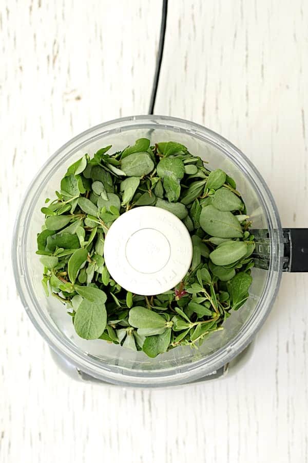 Photo of fresh purslane leaves in food processor.