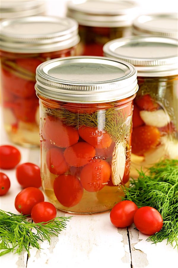 Photo of pint jars of Pickled Grape Tomatoes with fresh tomatoes and dill scattered around.
