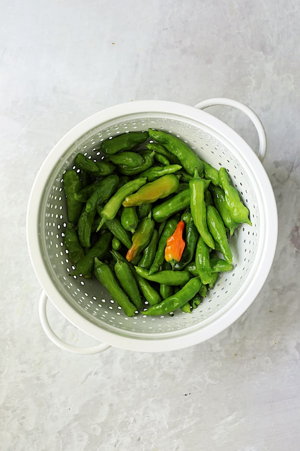 Photo of shishito peppers in white colander.