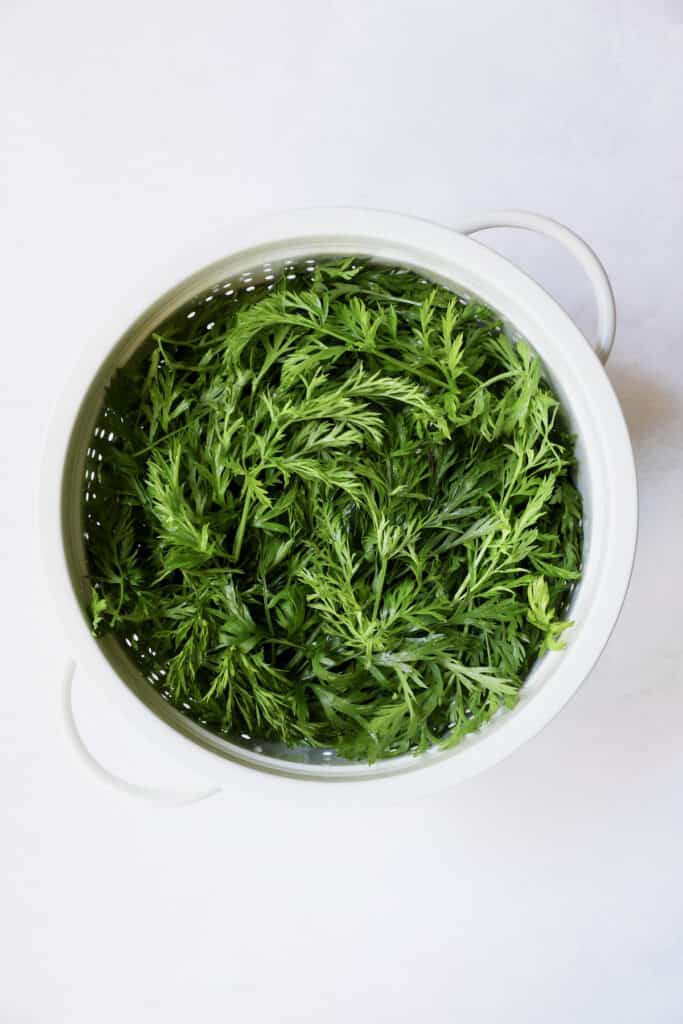 Photo of carrot tops in white colander.