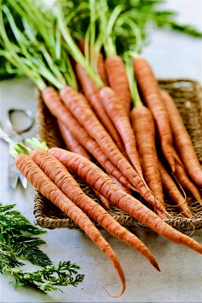 Photo of carrots in wicker basket being trimmed of their tops.