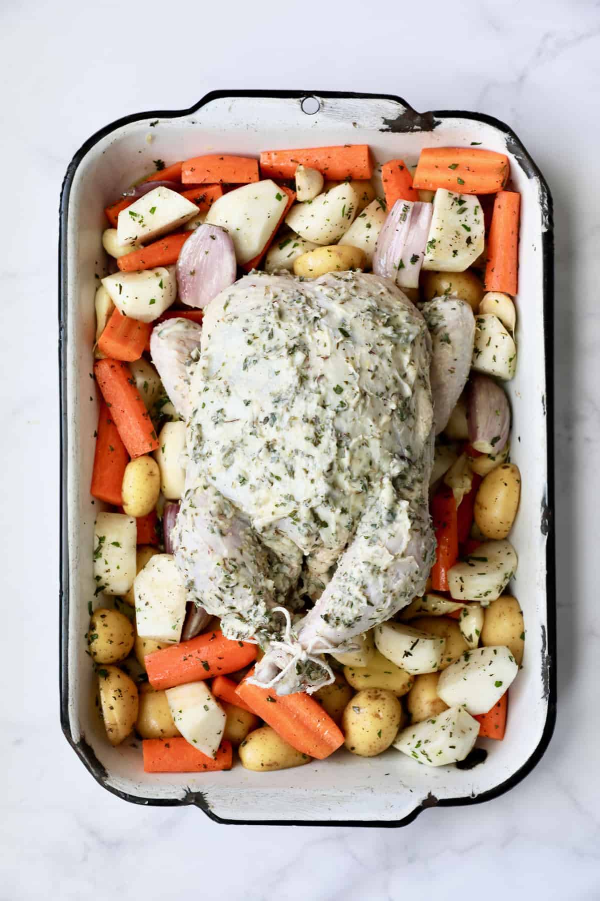 Photo of uncooked raw chicken and vegetables in white distressed roasting pan.