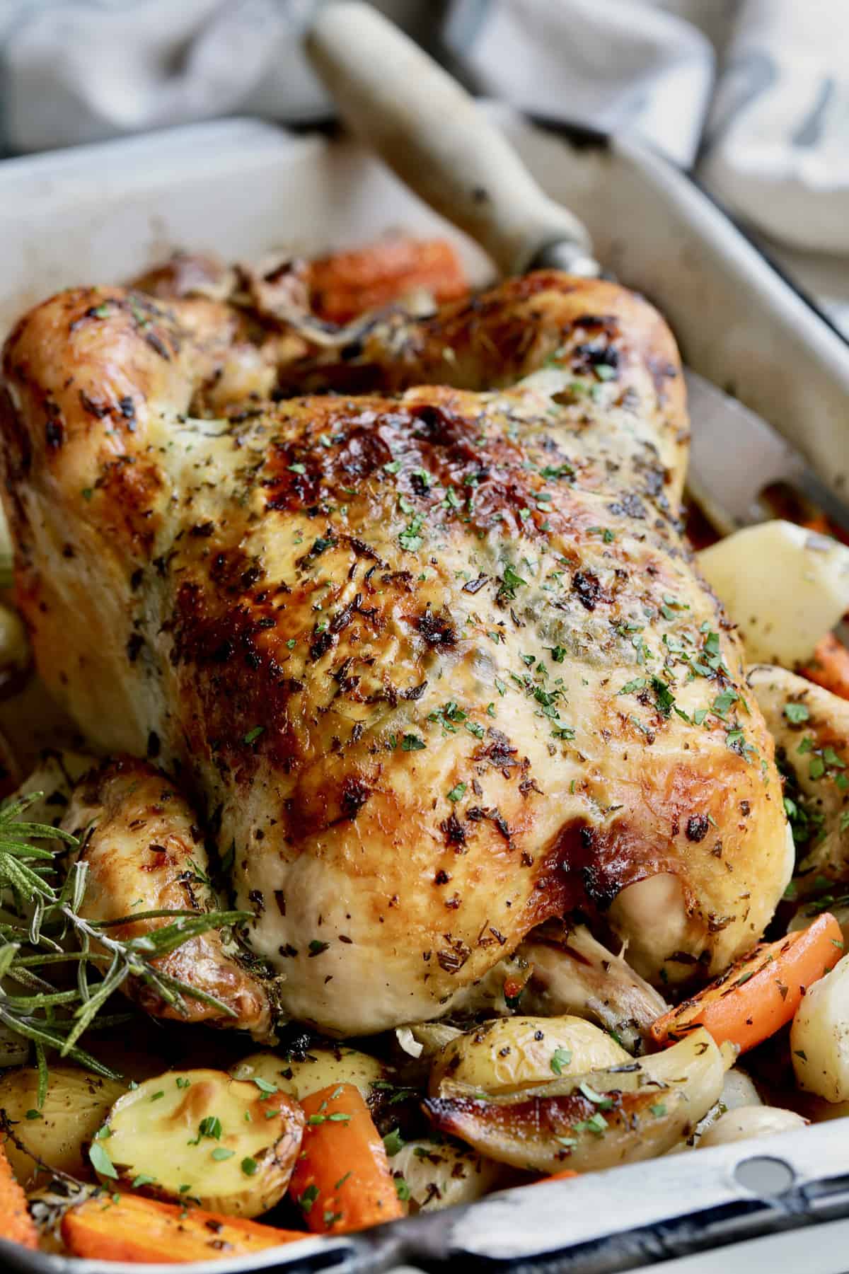 Close-up photo of Garlic Herb Butter Roast Chicken with Root Vegetables in white roasting pan.