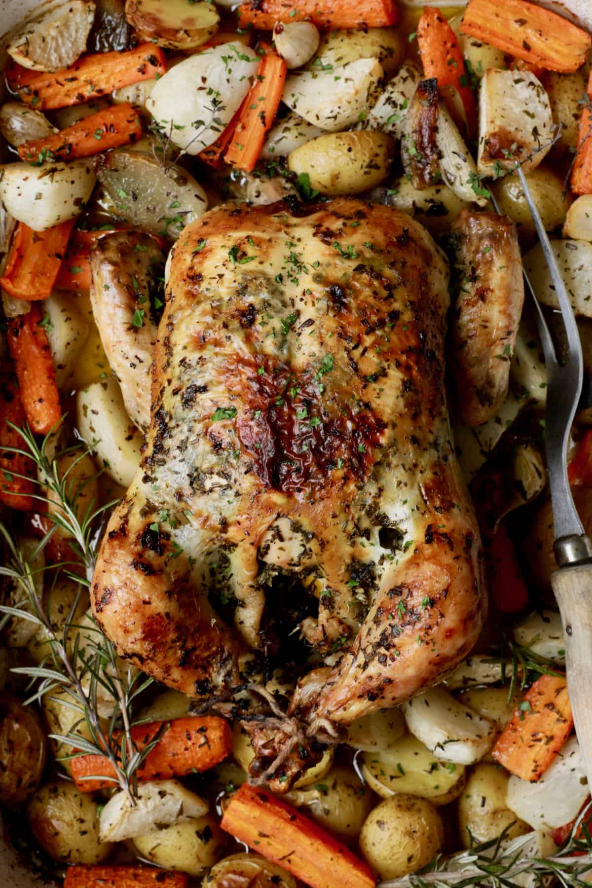 Close-up photo of Garlic Herb Butter Roast Chicken with Root Vegetables.