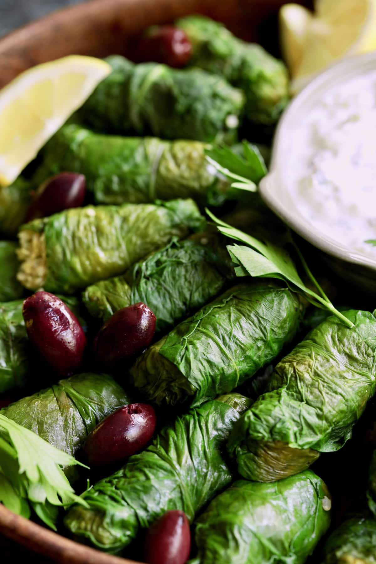 Close-up photo of Swiss Chard and Quinoa Dolmas with Tzatziki.