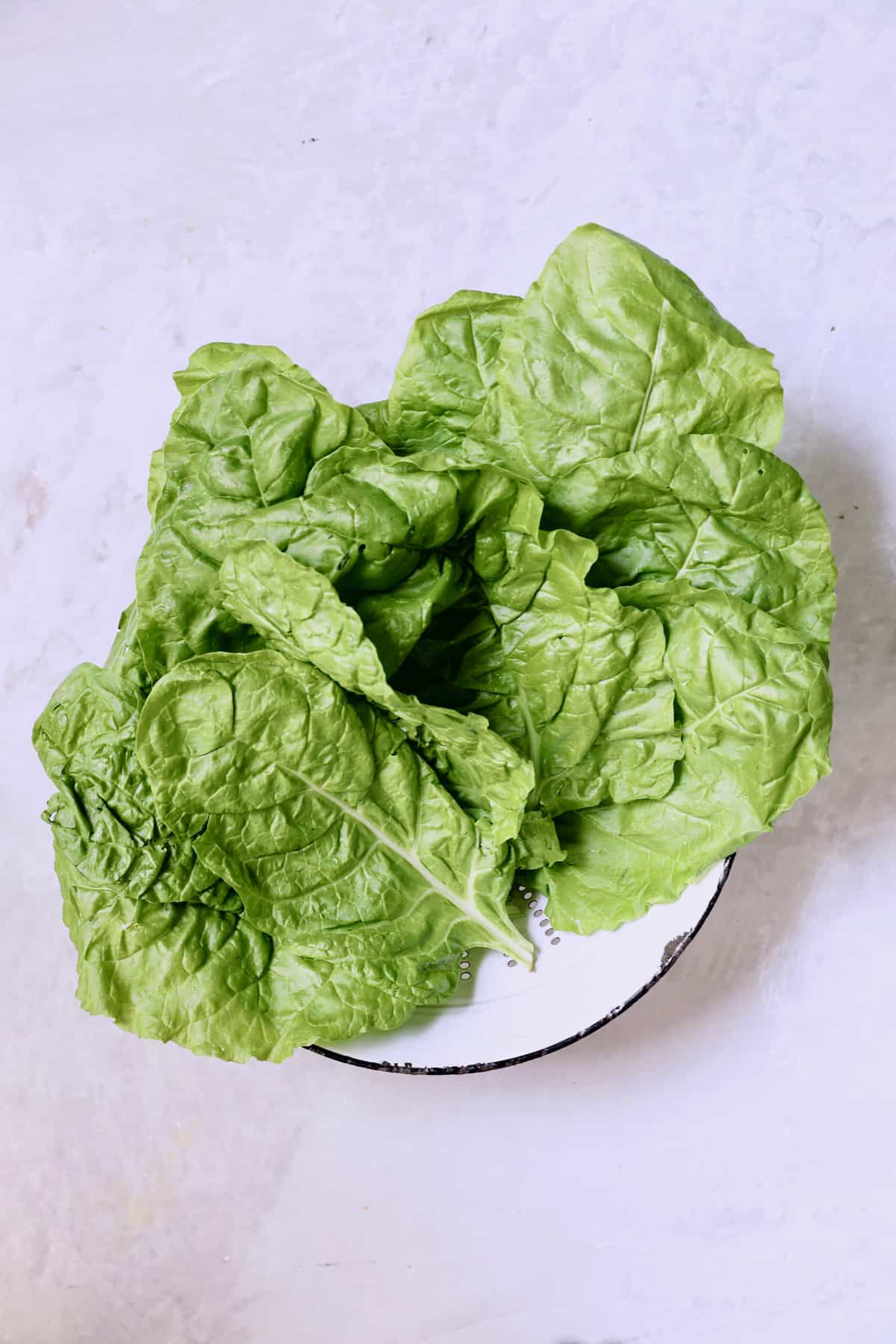 Photo of Swiss chard leaves in white colander.
