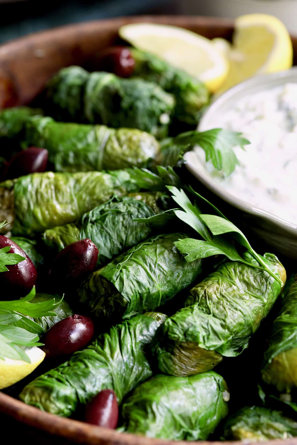 Photo of Swiss Chard and Quinoa Dolmas with Tzatziki.