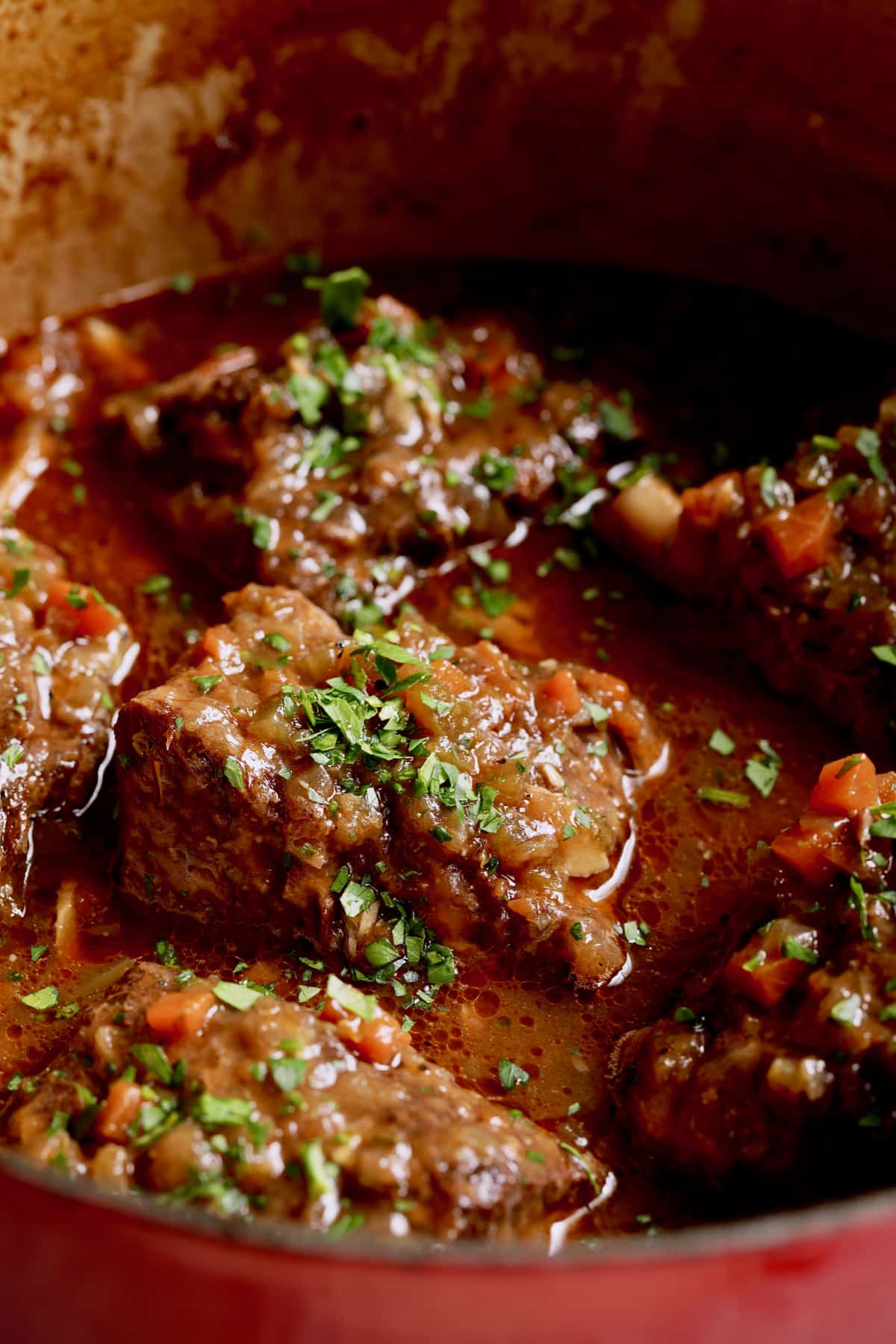 Close-up photo of Stout Braised Beef Short Ribs in red Dutch oven.