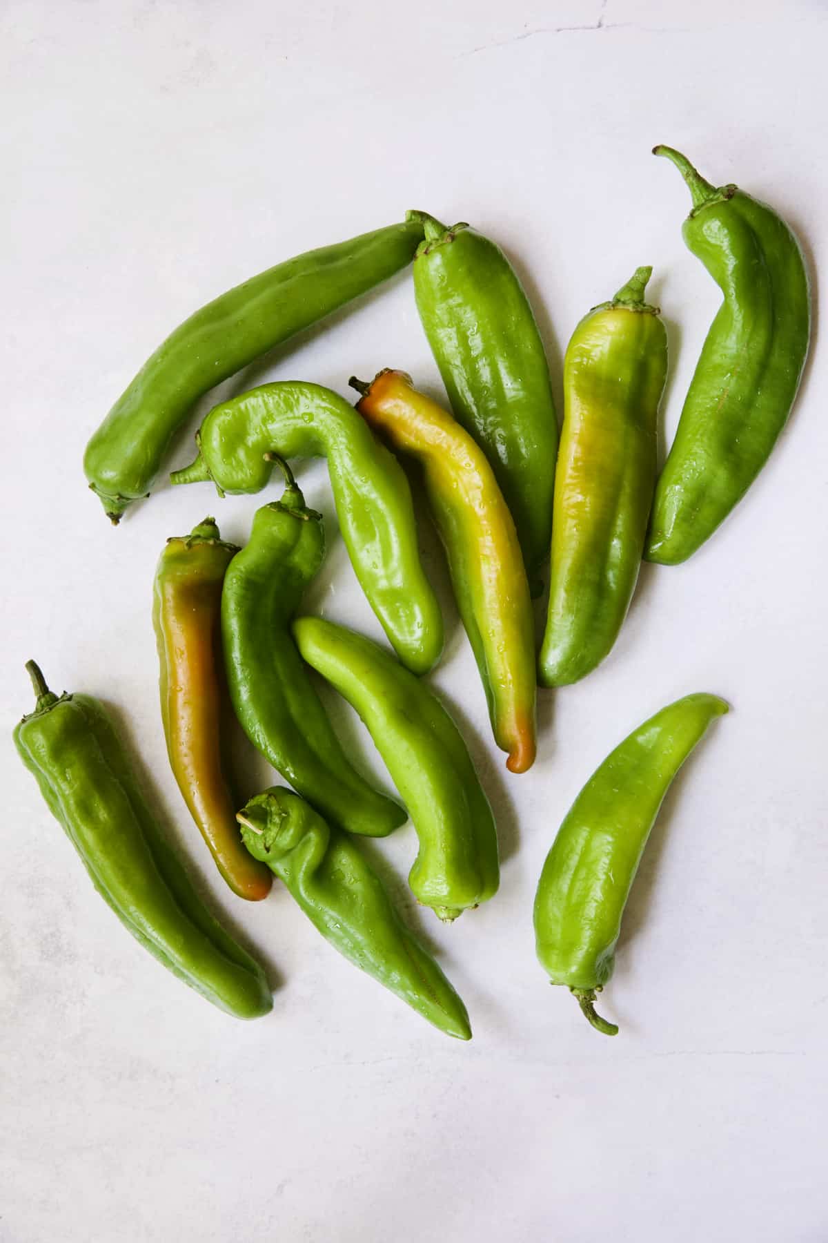 Fresh Hatch green chiles on white background.