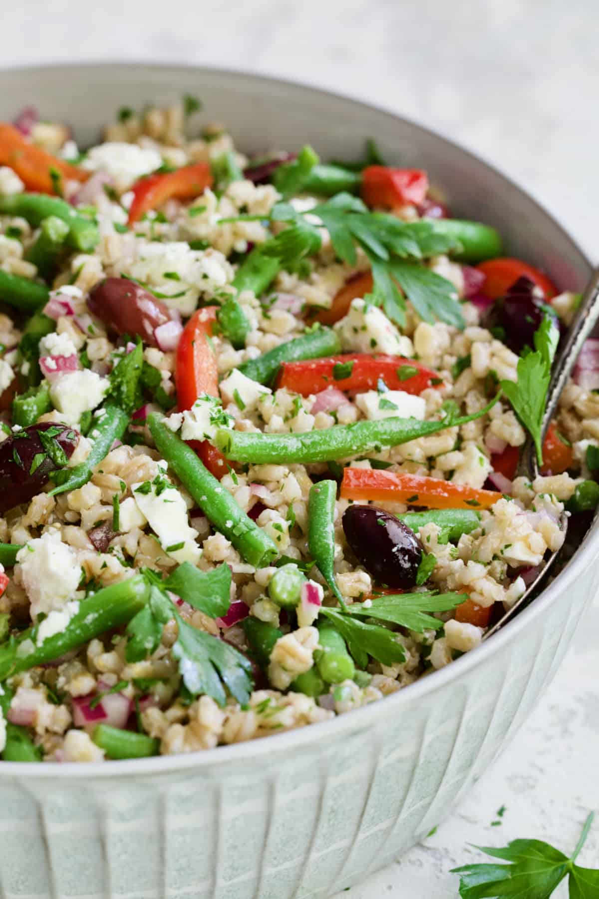Mediterranean Barley Salad with Green Beans, Red Bell Pepper, Olives and Feta in serving bowl.