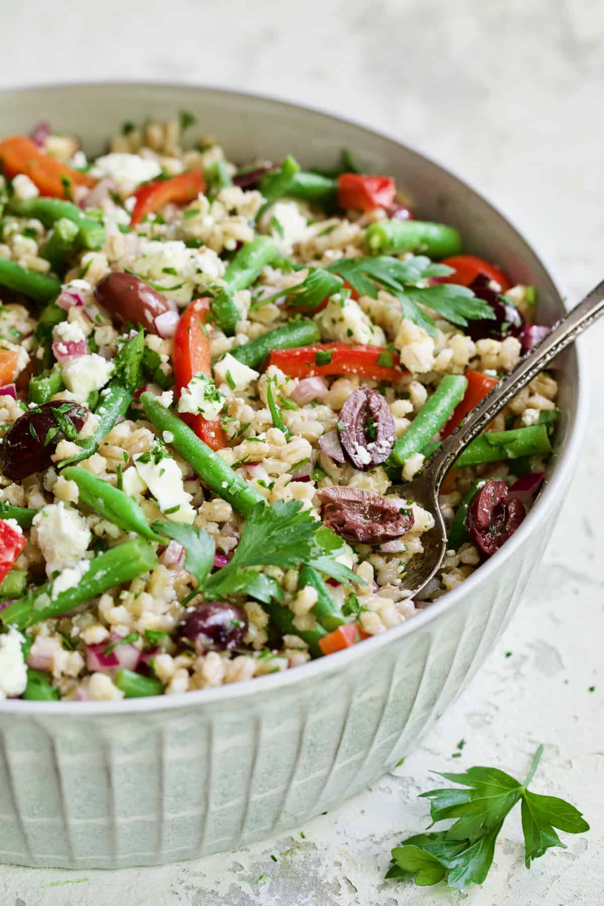 Mediterranean Barley Salad with Green Beans, Red Bell Pepper, Olives and Feta