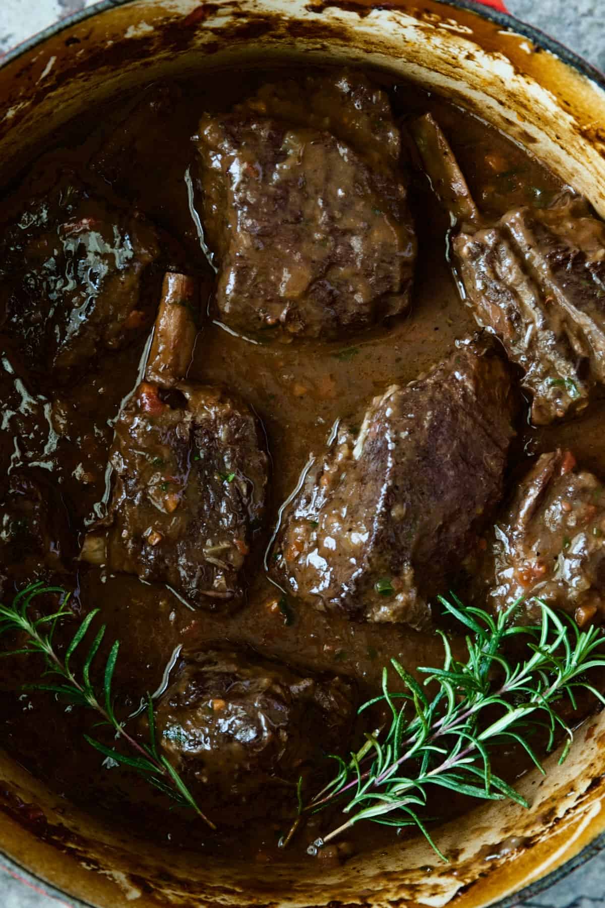 Braised Beef Short Ribs in red Dutch oven with rosemary sprigs.