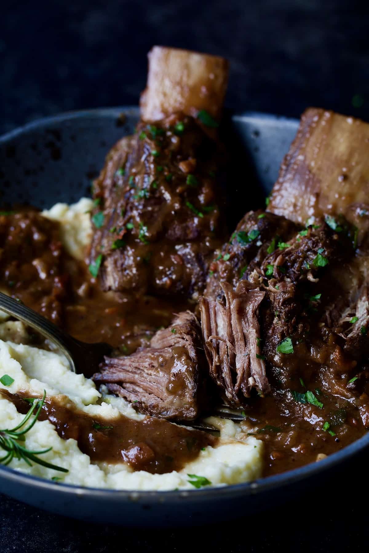 Two beef short ribs in gray bowl with cauliflower puree.