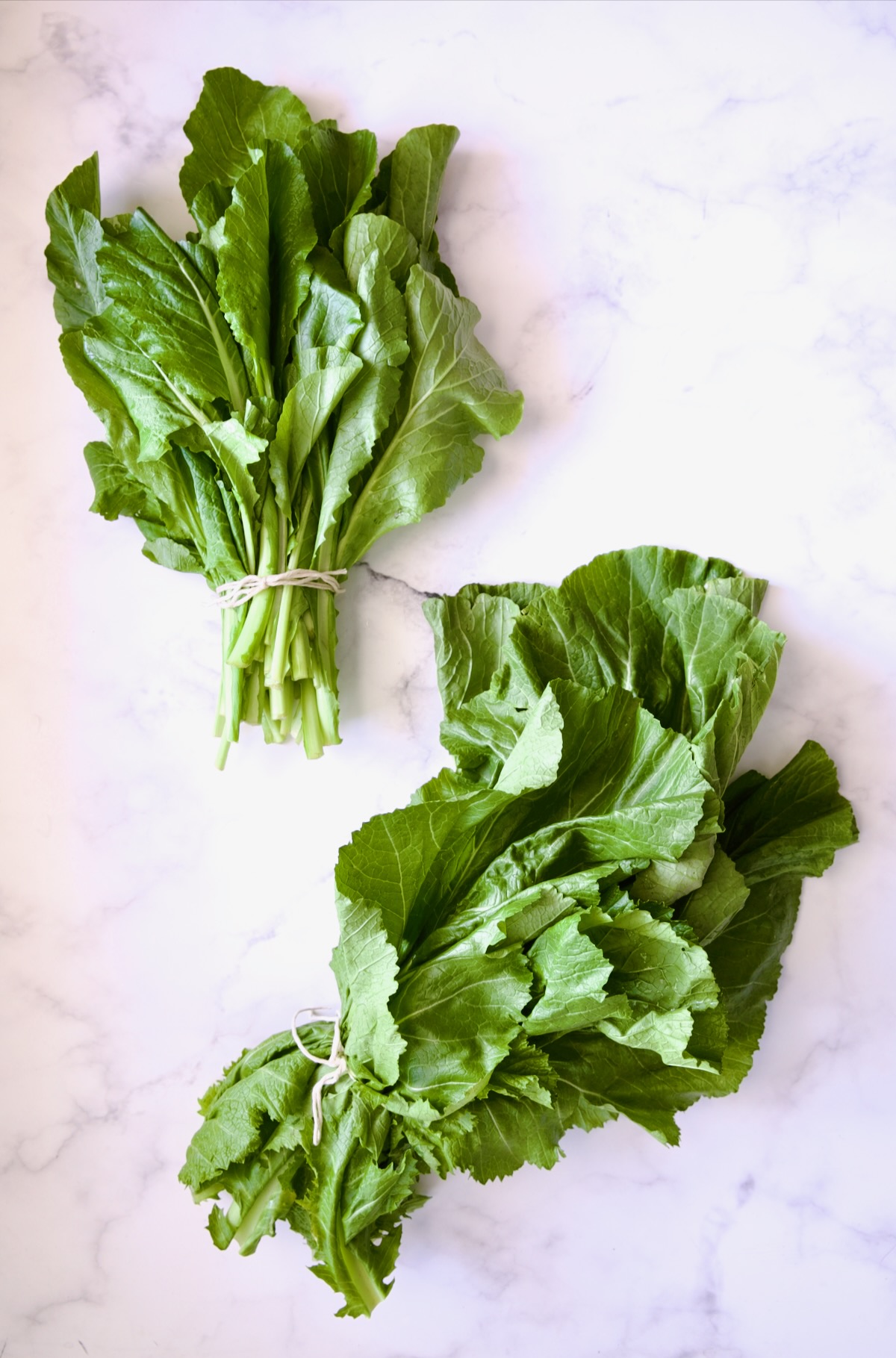 Two bunches of greens: Turnip and Mustard.