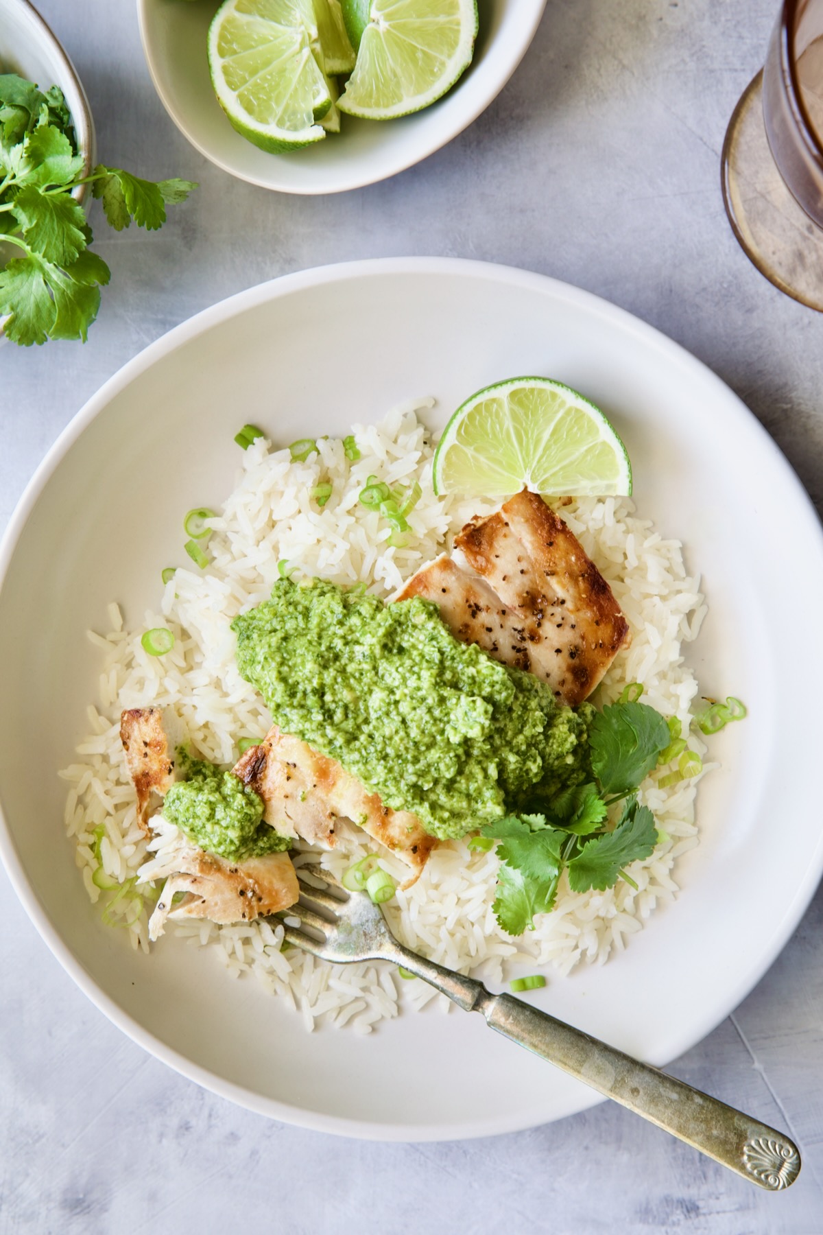 One plate of Mahi-Mahi with Cilantro - Ginger Pesto on jasmine rice.
