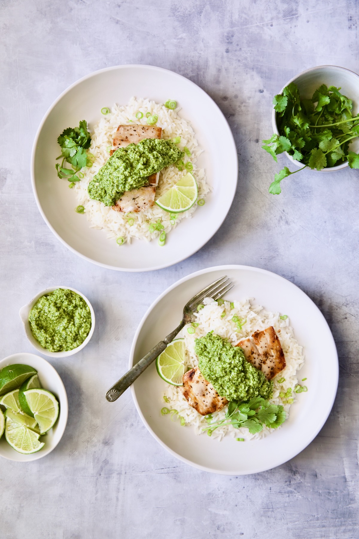 Two plates of Mahi-Mahi with Cilantro - Ginger Pesto on jasmine rice.