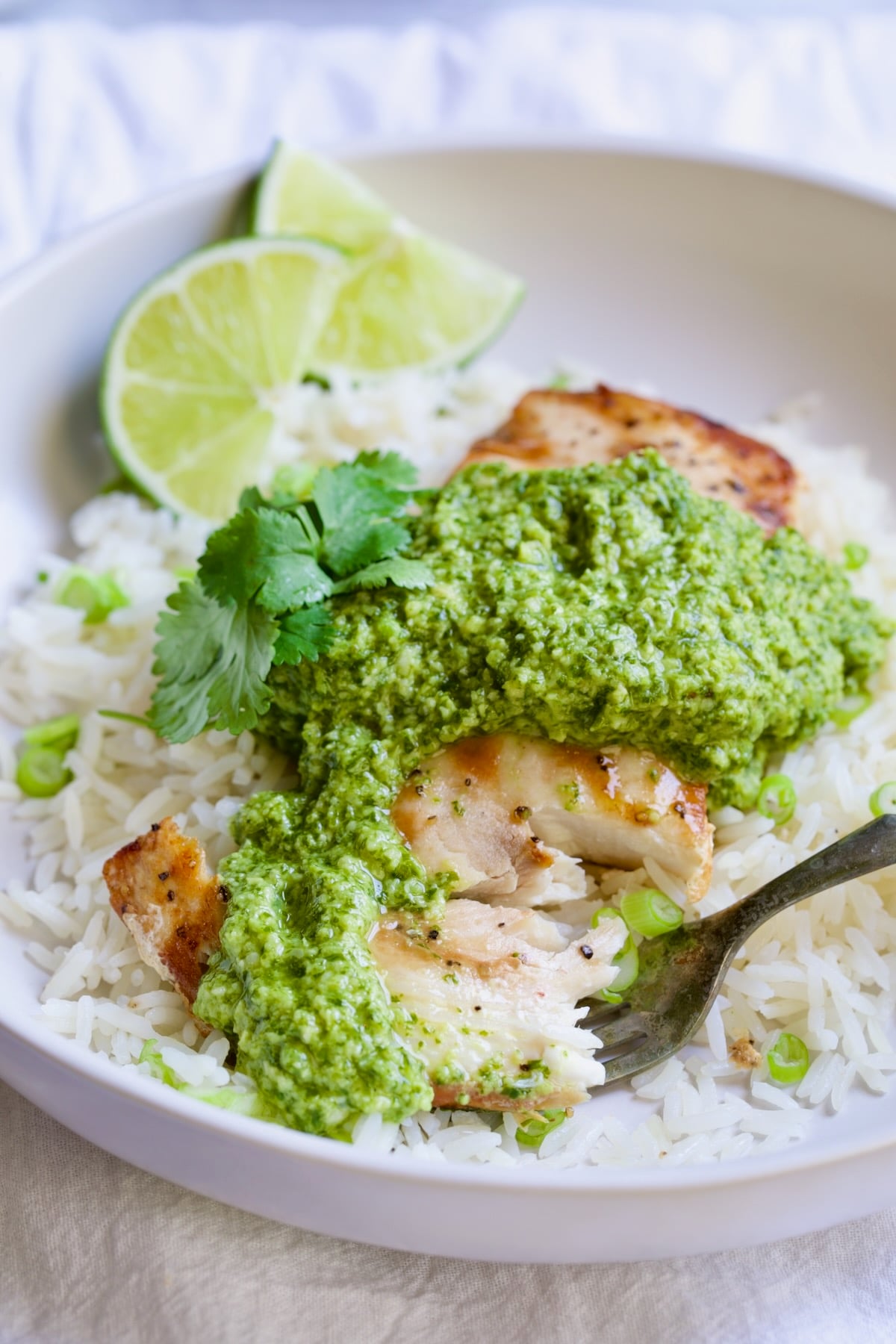 Piece of Mahi-Mahi with Cilantro - Ginger Pesto on a fork.