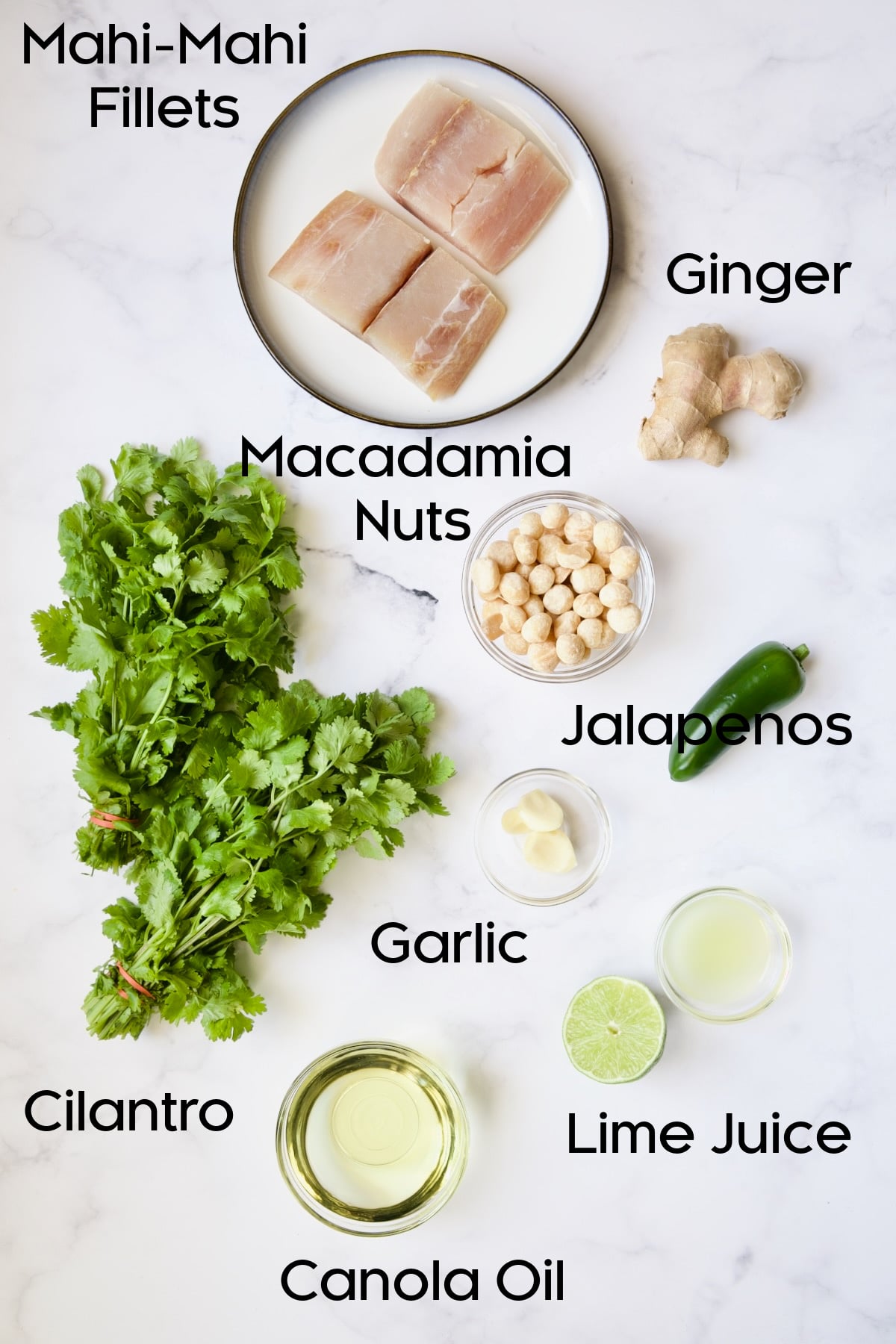 Ingredients for Mahi-Mahi with Cilantro - Ginger Pesto.