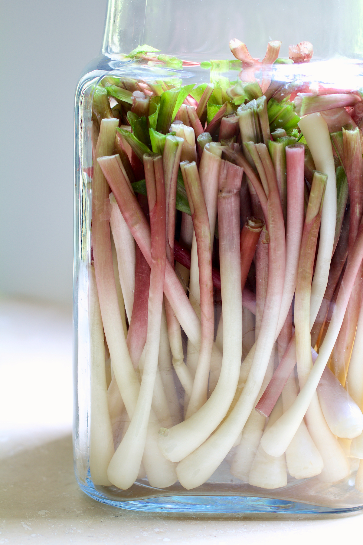 Ramps in glass jar without the brine.