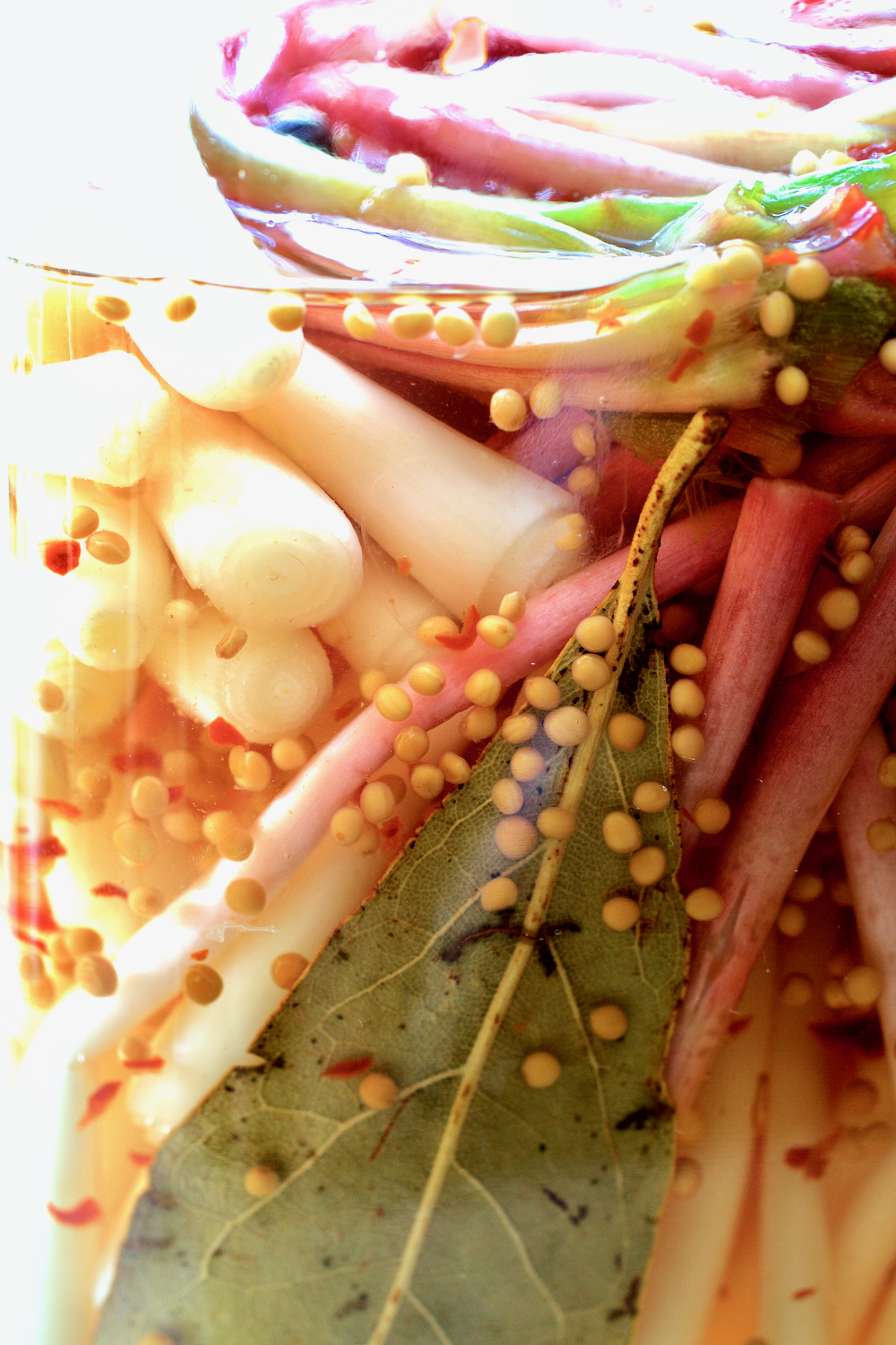 Pickled ramps in glass jar.