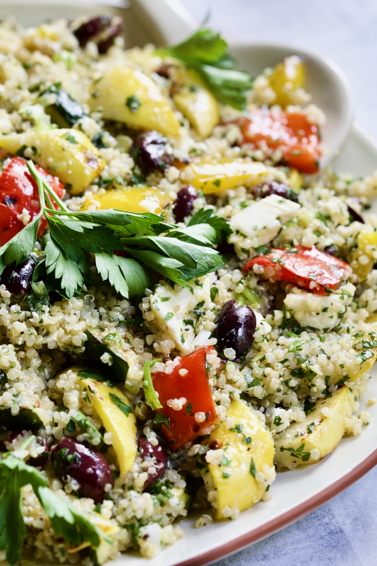 Mediterranean Quinoa Salad with Grilled Vegetables garnished with herb sprigs.