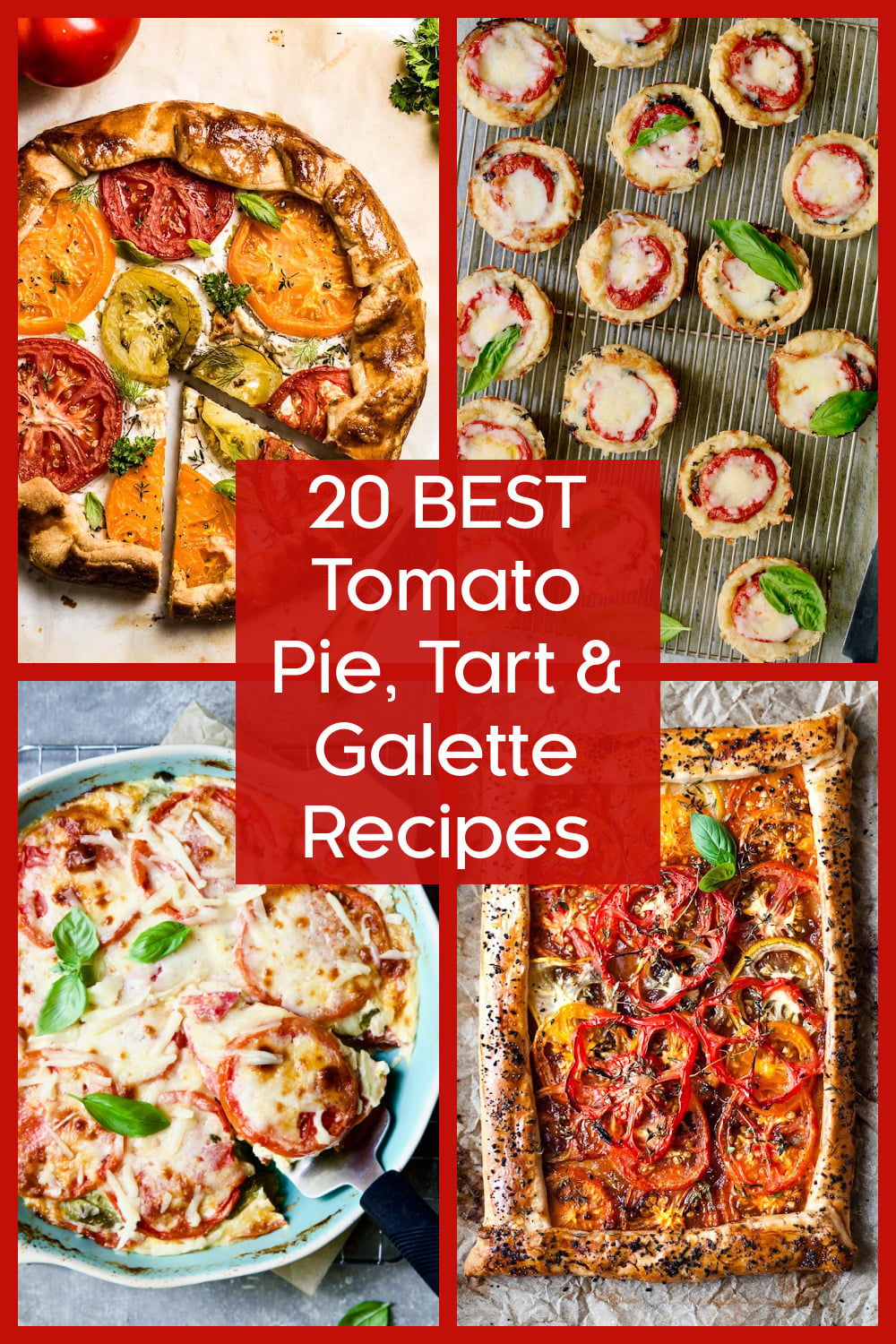 Graphic of four tomato recipes for 20 Best Tomato Pie, Tart & Galette Recipes.