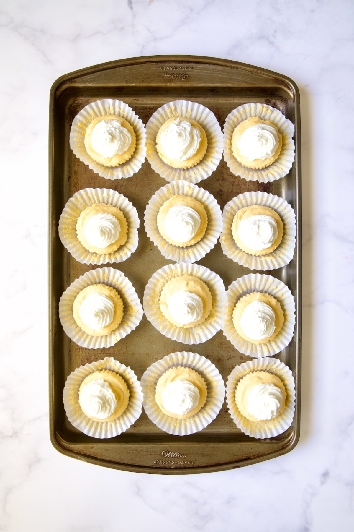 Twelve set cheesecakes on white muffin pan liners on baking sheet.