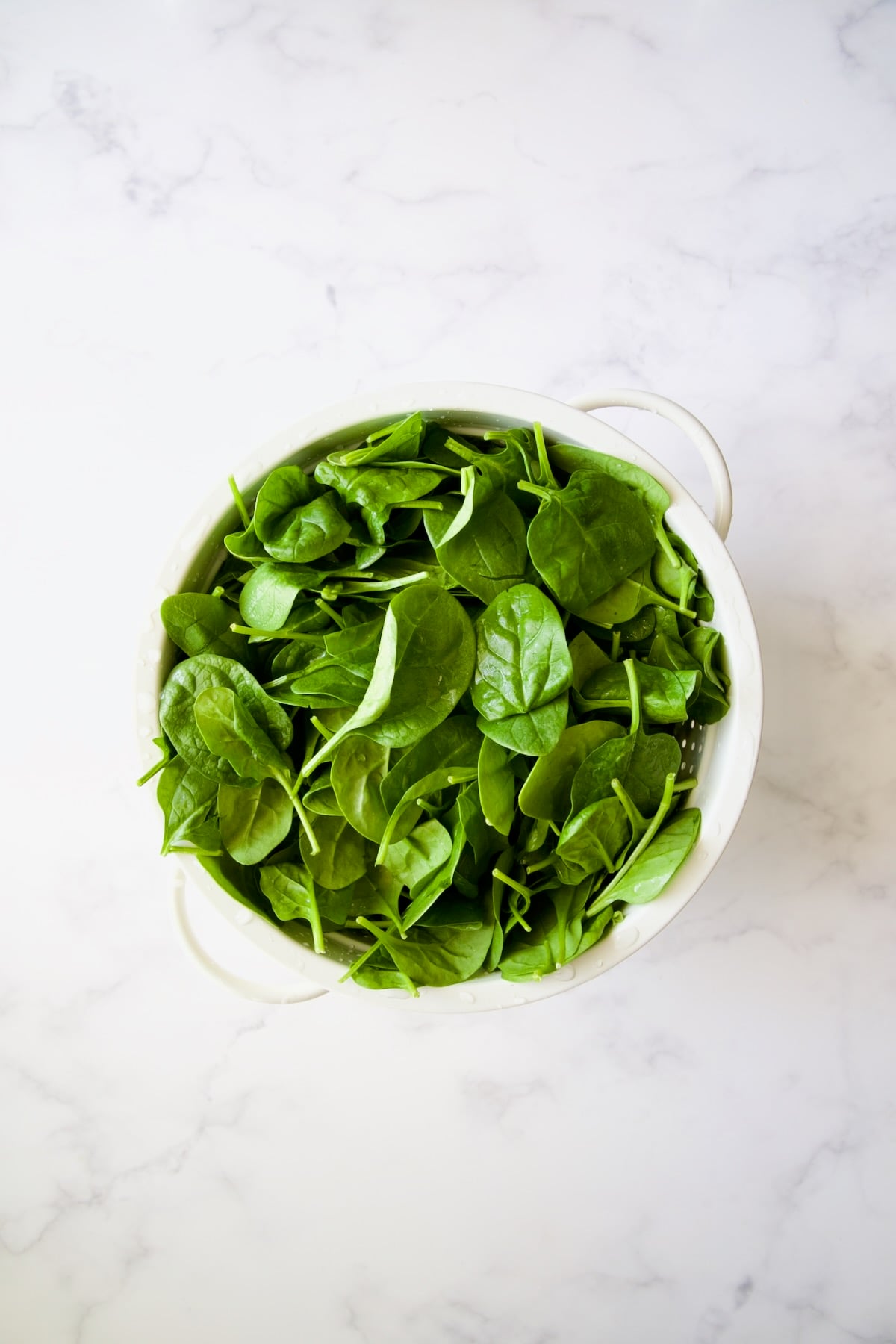 Baby spinach in white colander.