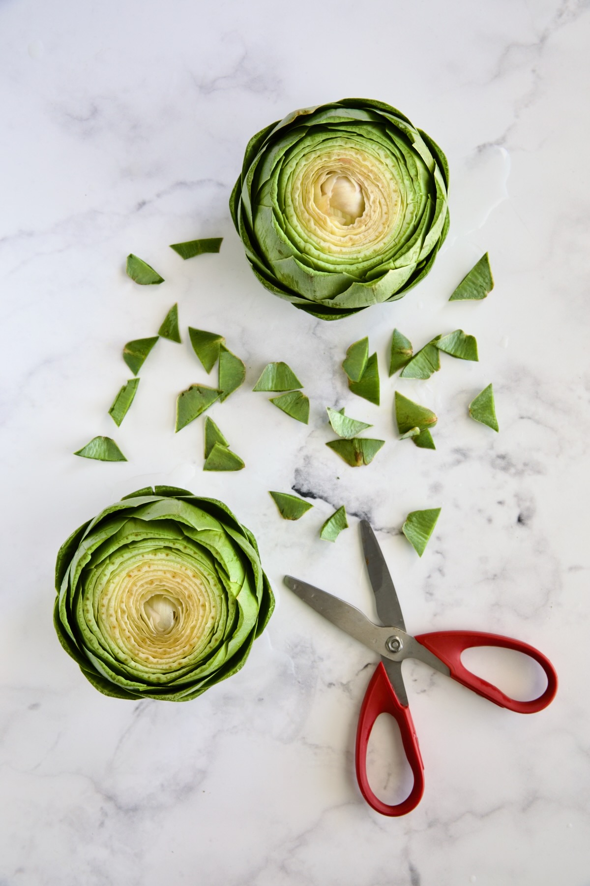 Two artichokes with leaf tips cut off by red-handled scissors and laying on marble surface.