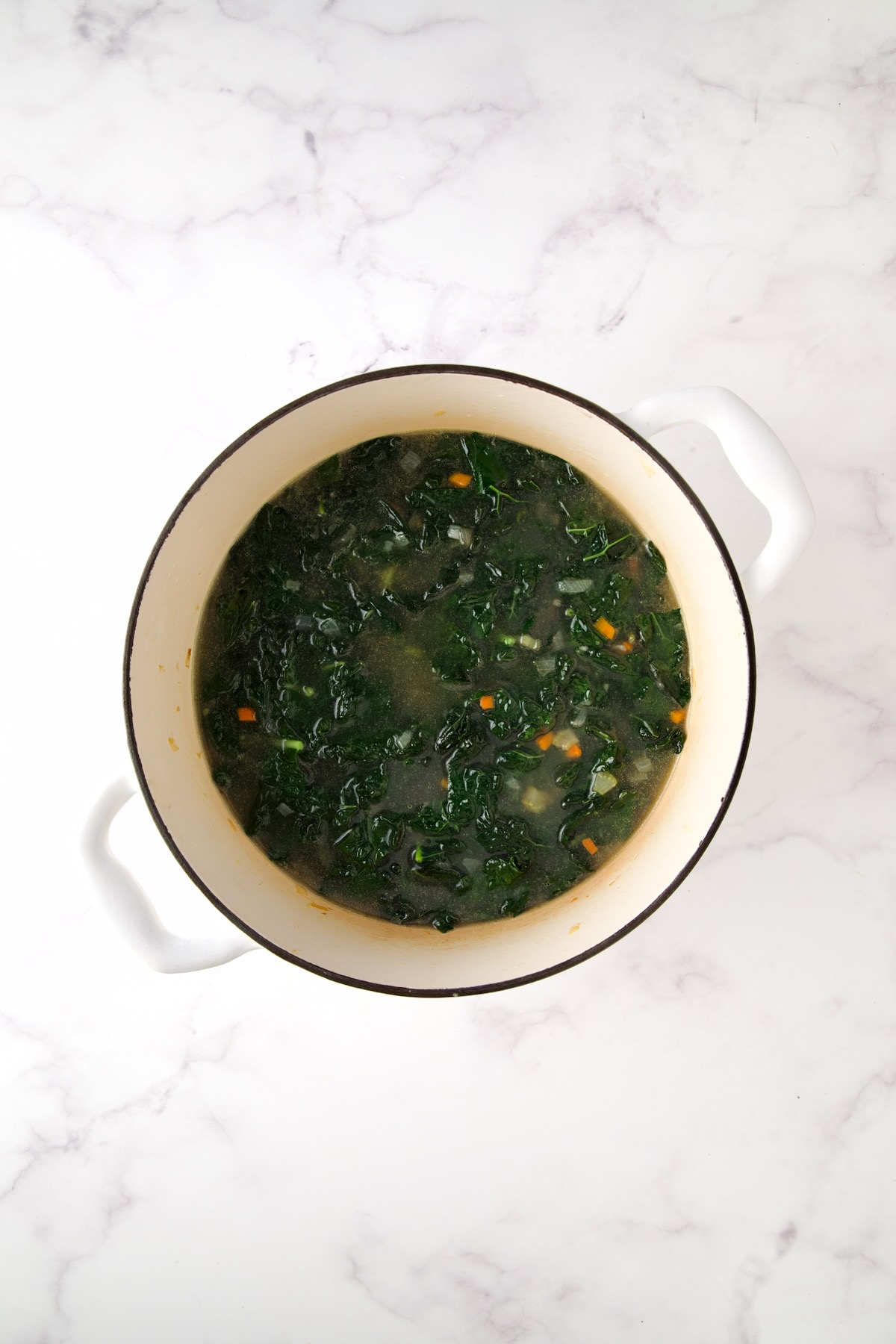 Cooked onion, carrot, celery, kale and garlic with chicken broth added.