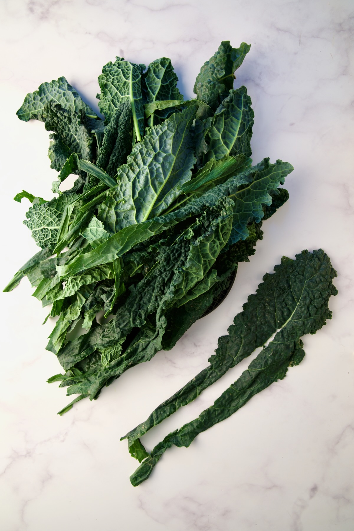 Lacinato kale with stems removed.