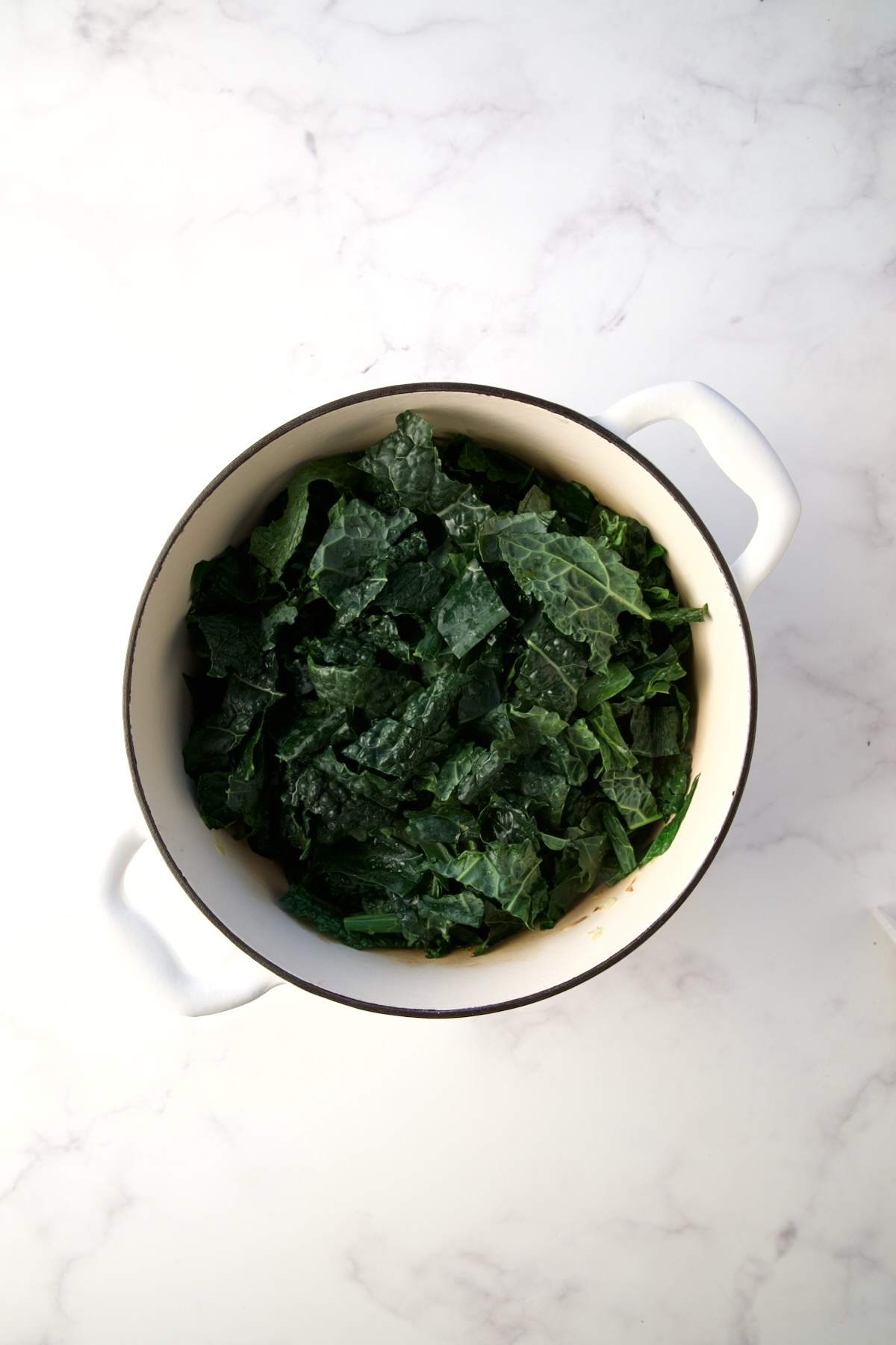 White Bean Kale Soup with fresh Lacinato kale added.