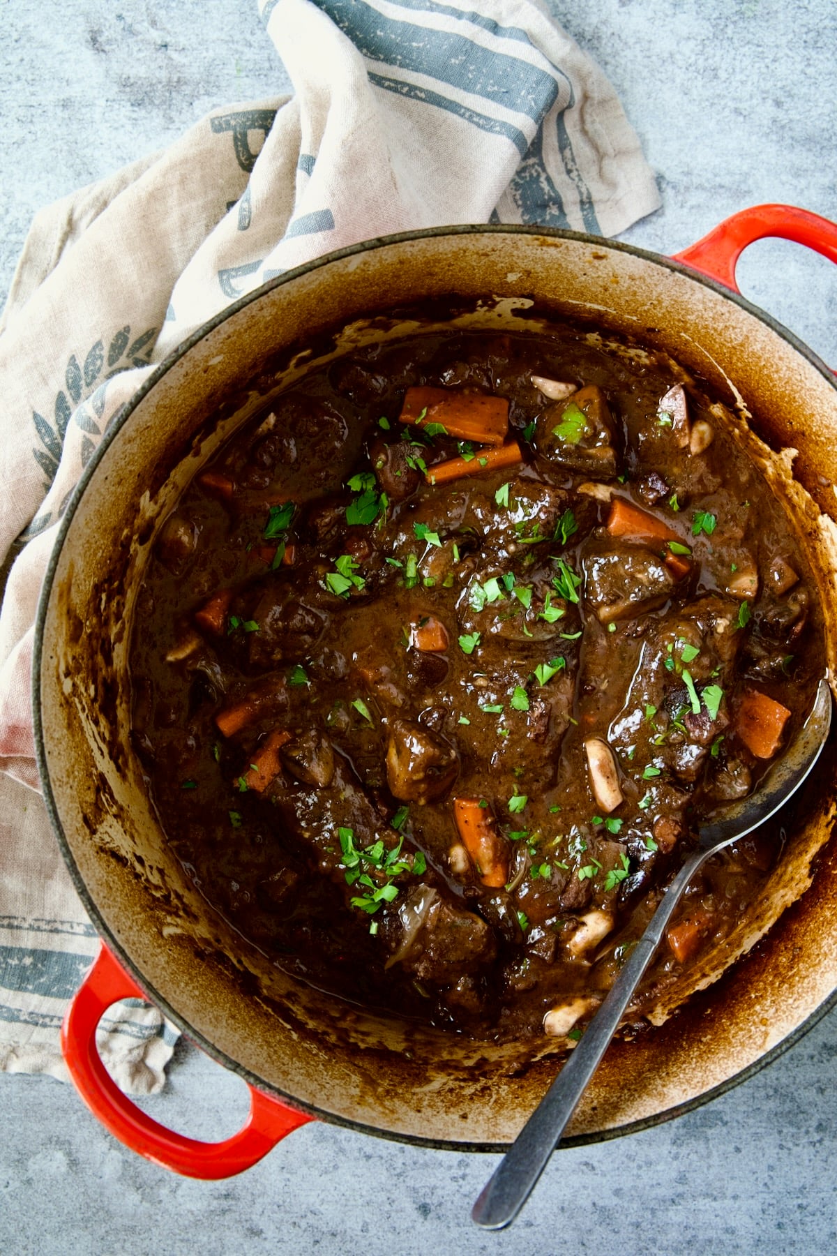 Short Ribs Bourguignon in red Dutch oven.