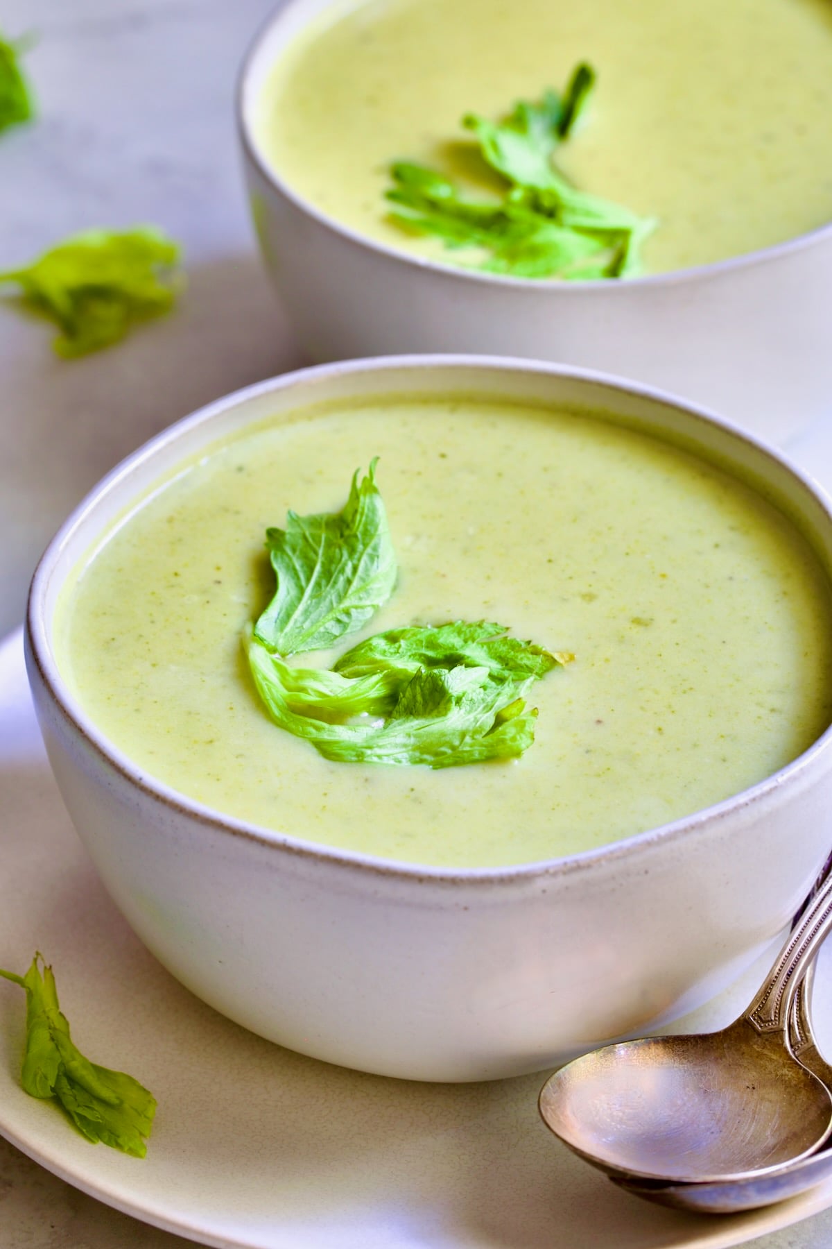 Cream of Celery Leaves Soup in white bowl.