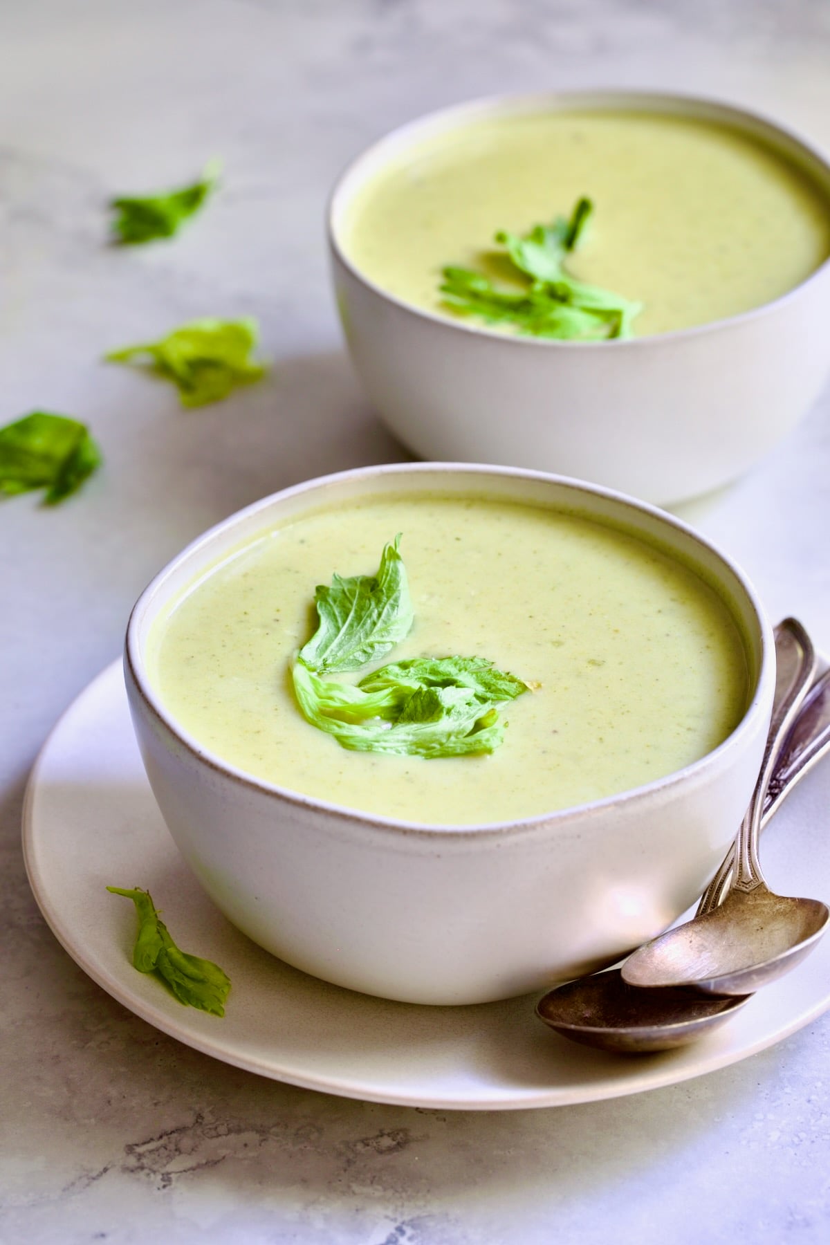 Two bowls of Cream of Celery Soup.