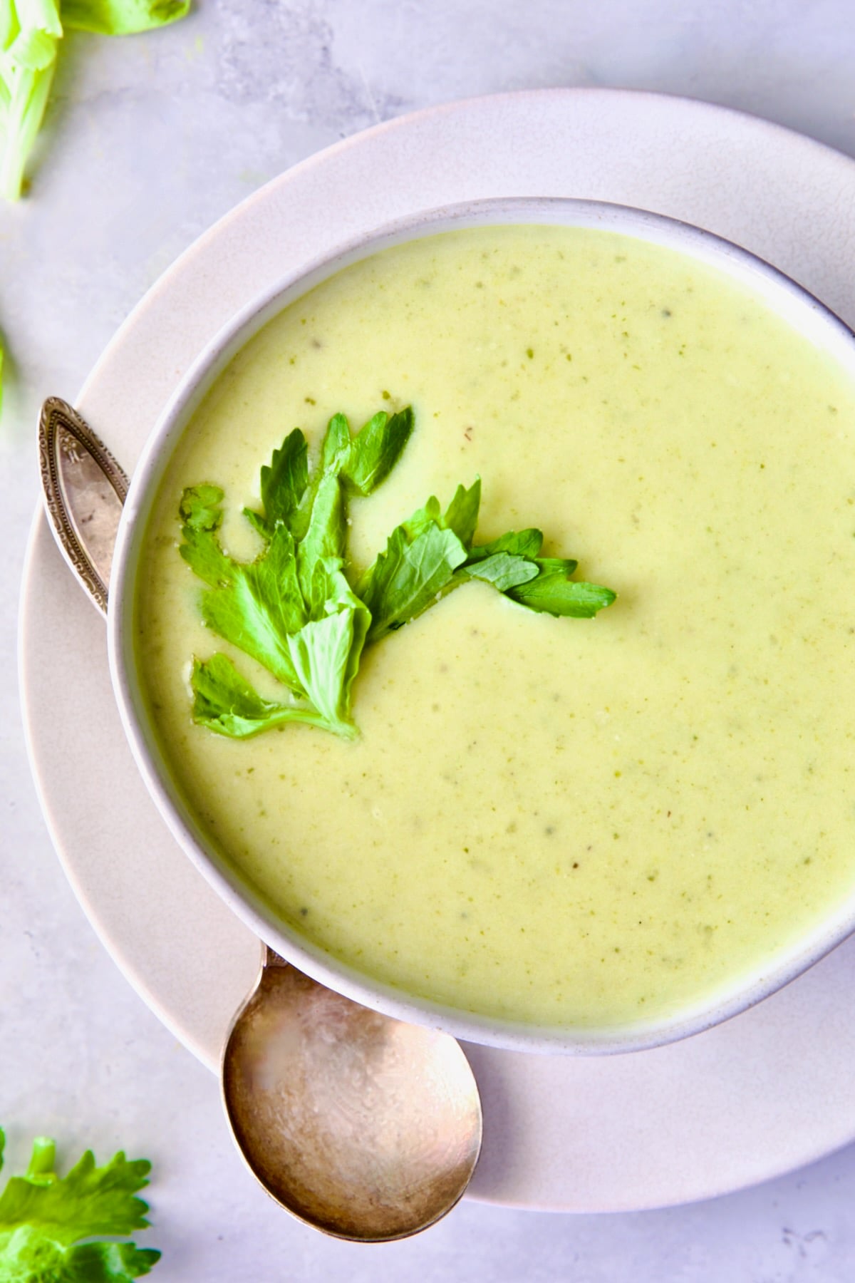 One bowl of Cream of Celery Soup garnished with celery leaf.
