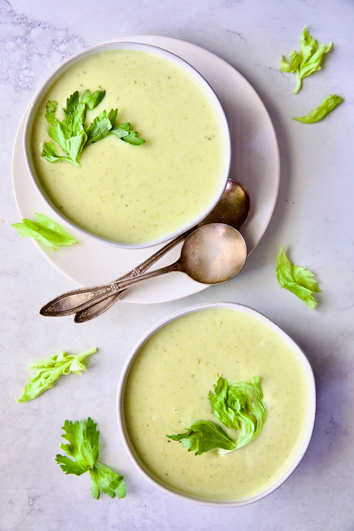 Two bowls of Cream of Celery Soup.